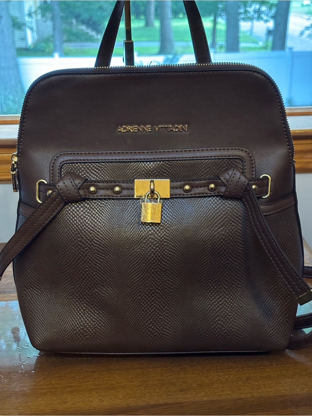 Adrienne Vittadini Chocolate Brown Leather Backpack with Gold Hardware